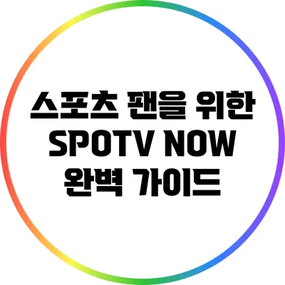 스포츠 팬을 위한 SPOTV NOW 완벽 가이드