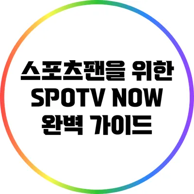 스포츠팬을 위한 SPOTV NOW 완벽 가이드