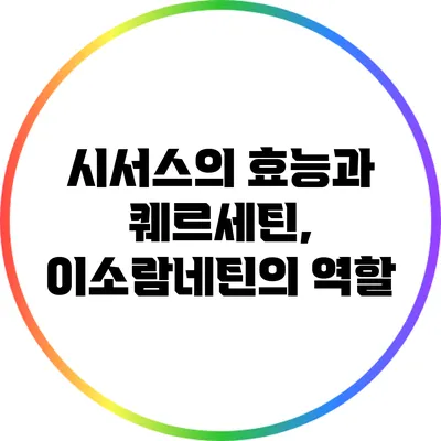 시서스의 효능과 퀘르세틴, 이소람네틴의 역할