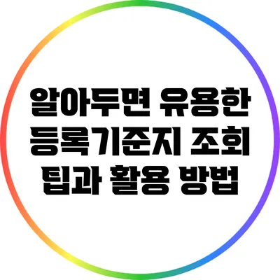 알아두면 유용한 등록기준지 조회 팁과 활용 방법