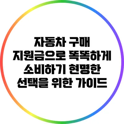 자동차 구매 지원금으로 똑똑하게 소비하기: 현명한 선택을 위한 가이드