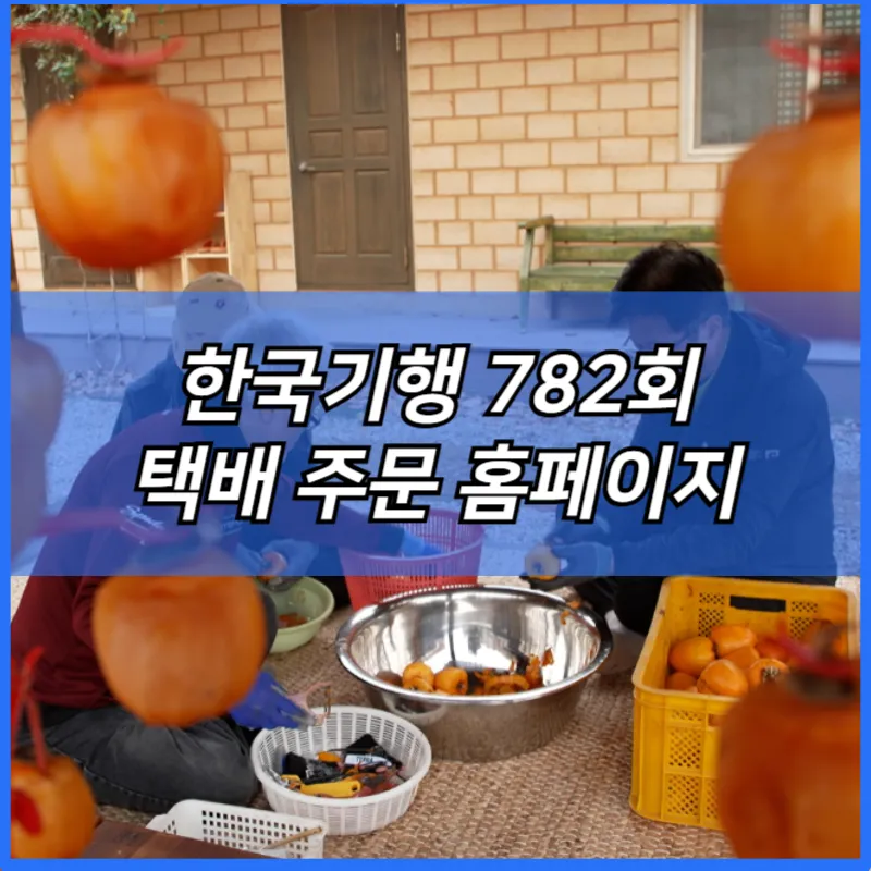 한국기행 톳