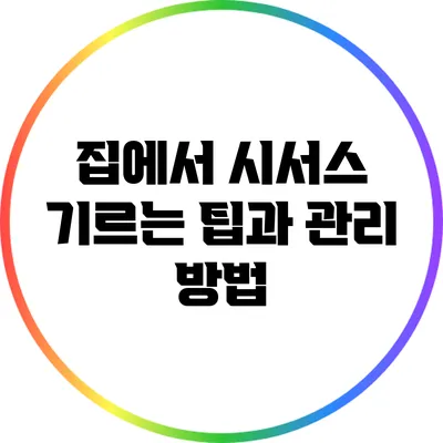 집에서 시서스 기르는 팁과 관리 방법