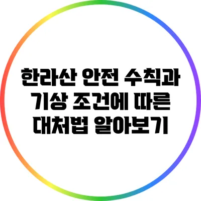 한라산 안전 수칙과 기상 조건에 따른 대처법 알아보기