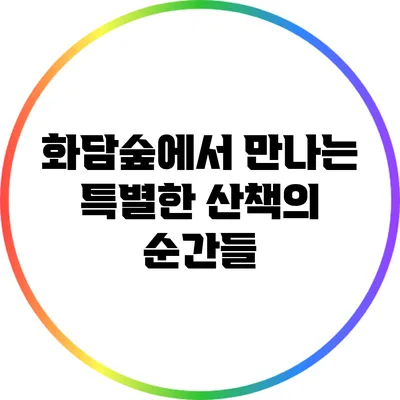 화담숲에서 만나는 특별한 산책의 순간들