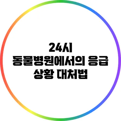 24시 동물병원에서의 응급 상황 대처법