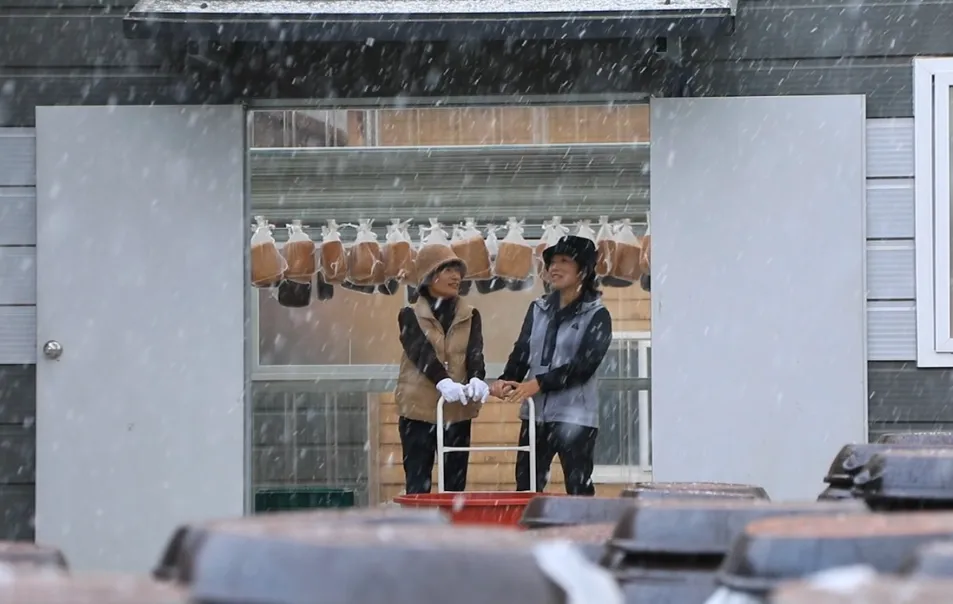 한국기행 순댓국