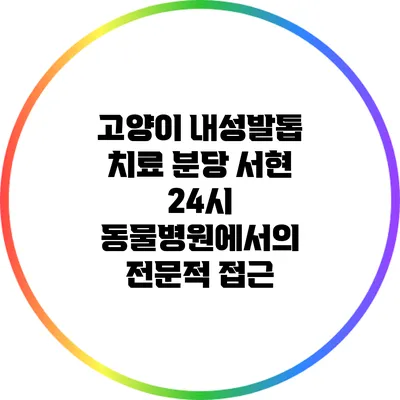 고양이 내성발톱 치료: 분당 서현 24시 동물병원에서의 전문적 접근