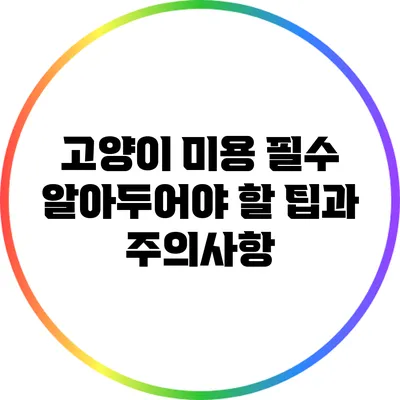 고양이 미용: 필수 알아두어야 할 팁과 주의사항