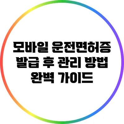 모바일 운전면허증 발급 후 관리 방법 완벽 가이드