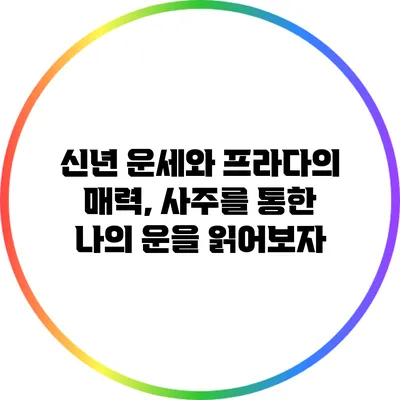신년 운세와 프라다의 매력, 사주를 통한 나의 운을 읽어보자