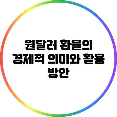 원달러 환율의 경제적 의미와 활용 방안