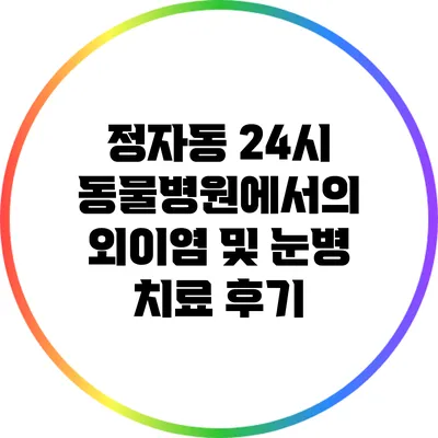 정자동 24시 동물병원에서의 외이염 및 눈병 치료 후기