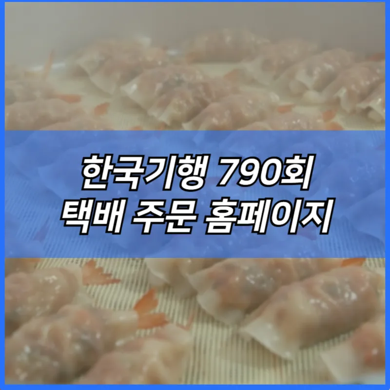 한국기행 만두