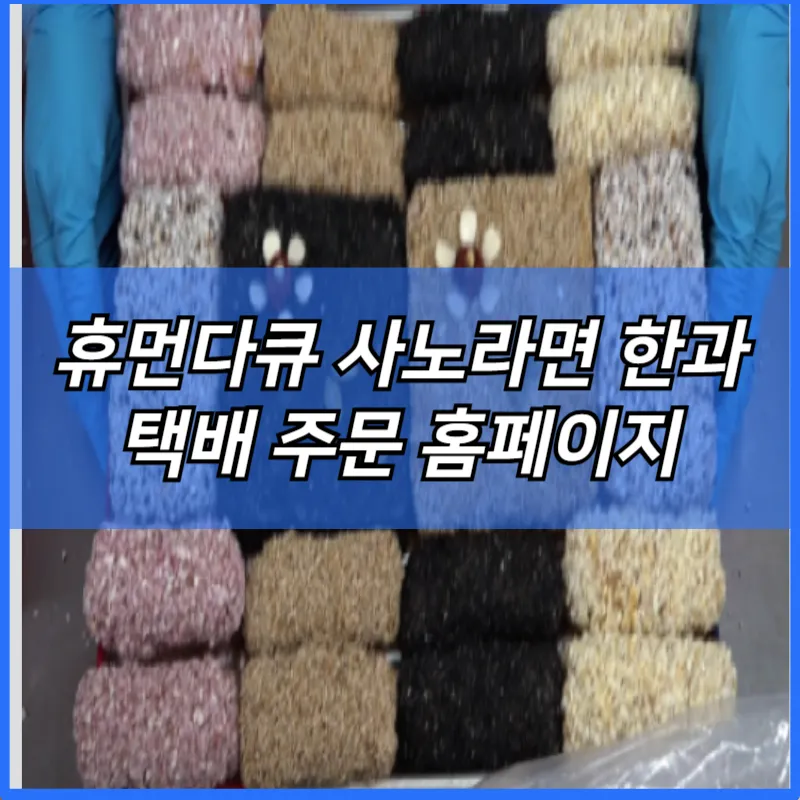 휴먼다큐 사노라면 전통 한과
