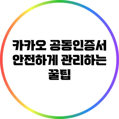 카카오 공동인증서 안전하게 관리하는 꿀팁