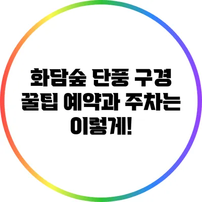 화담숲 단풍 구경 꿀팁: 예약과 주차는 이렇게!