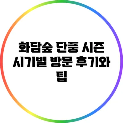 화담숲 단풍 시즌: 시기별 방문 후기와 팁