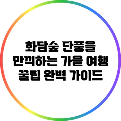 화담숲 단풍을 만끽하는 가을 여행 꿀팁 완벽 가이드