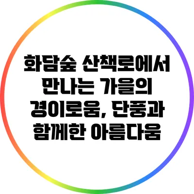 화담숲 산책로에서 만나는 가을의 경이로움, 단풍과 함께한 아름다움