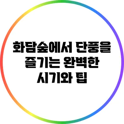 화담숲에서 단풍을 즐기는 완벽한 시기와 팁