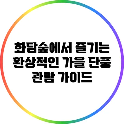 화담숲에서 즐기는 환상적인 가을 단풍 관람 가이드