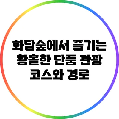 화담숲에서 즐기는 황홀한 단풍 관광 코스와 경로