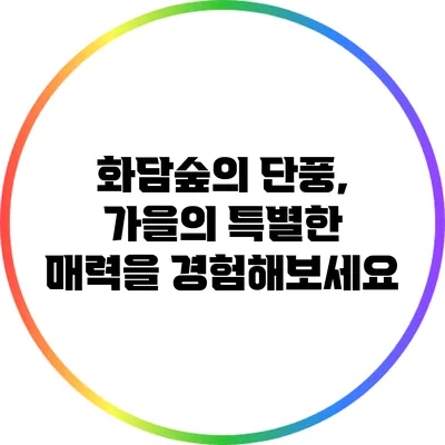 화담숲의 단풍, 가을의 특별한 매력을 경험해보세요