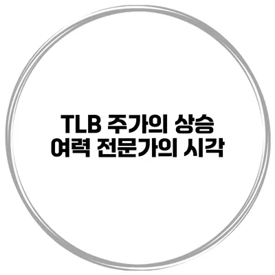 TLB 주가의 상승 여력 전문가의 시각