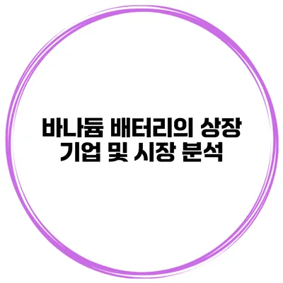 바나듐 배터리의 상장 기업 및 시장 분석