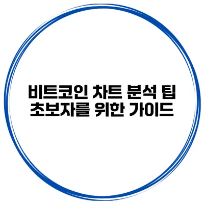 비트코인 차트 분석 팁 초보자를 위한 가이드