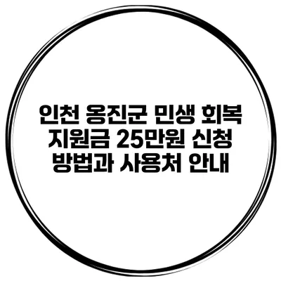 인천 옹진군 민생 회복 지원금 25만원 신청 방법과 사용처 안내