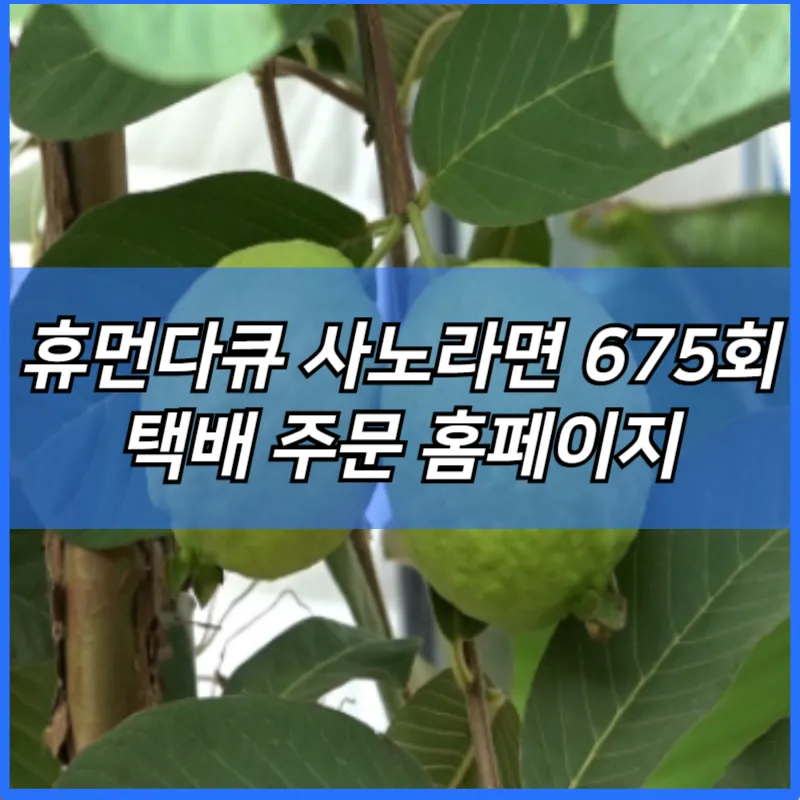 휴먼다큐 사노라면 함평 바나나 생태나라