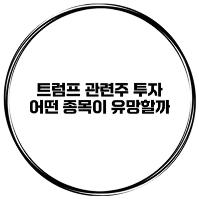 트럼프 관련주 투자 어떤 종목이 유망할까?