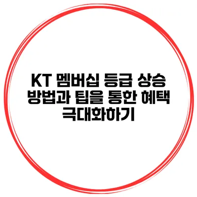 KT 멤버십 등급 상승 방법과 팁을 통한 혜택 극대화하기