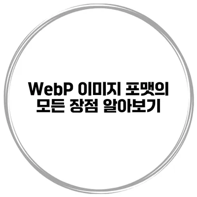WebP 이미지 포맷의 모든 장점 알아보기