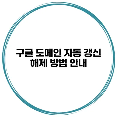 구글 도메인 자동 갱신 해제 방법 안내