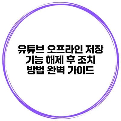 유튜브 오프라인 저장 기능 해제 후 조치 방법 완벽 가이드