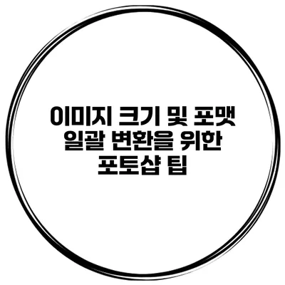 이미지 크기 및 포맷 일괄 변환을 위한 포토샵 팁